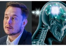 Elon Musk Neuralink’i Domuz Üzerinde Tanıttı ! Hedef İnsan Beyni …