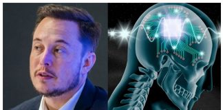 Elon Musk Neuralink’i Domuz Üzerinde Tanıttı ! Hedef İnsan Beyni …