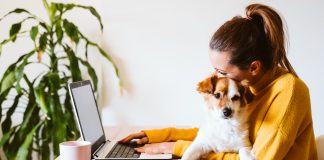 Evden Çalışma Yaygınlaşıyor