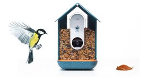 Akıllı Kuş Yemliği Bird Buddy, Bağış Rekoru Kırdı