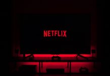 Netflix Ortak Kullanım Sebebiyle Ne Kadar Kayıp Yaşıyor?