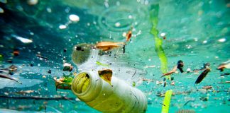 Plastik Atıkların Kaynağını Belirleyebilecek Uygulama Geliştirildi