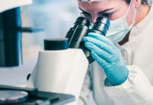 LEGO ve iPhone 5 Kamerası Kullanılarak Mikroskop Yapıldı