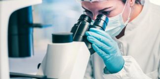 LEGO ve iPhone 5 Kamerası Kullanılarak Mikroskop Yapıldı