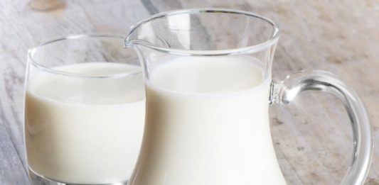 İneksiz İnek Sütü Üretildi!