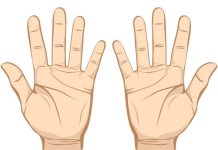 Çin’de Avuç İçi Okutarak Ödeme Dönemi Başlıyor